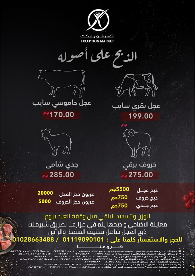 exception offers from 22may to 27may 2025 عروض اكسبشن من 22 مايو حتى 27 مايو 2025 صفحة رقم 33